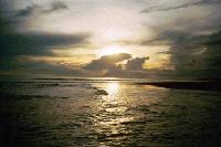 Picture for song 'Tricloop - Scent Of The Ocean' by artist 'Dj puppet vs JeS'