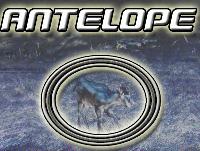 Picture for song 'Sundelin - Antelope (Master)' by artist 'Dj puppet vs JeS'