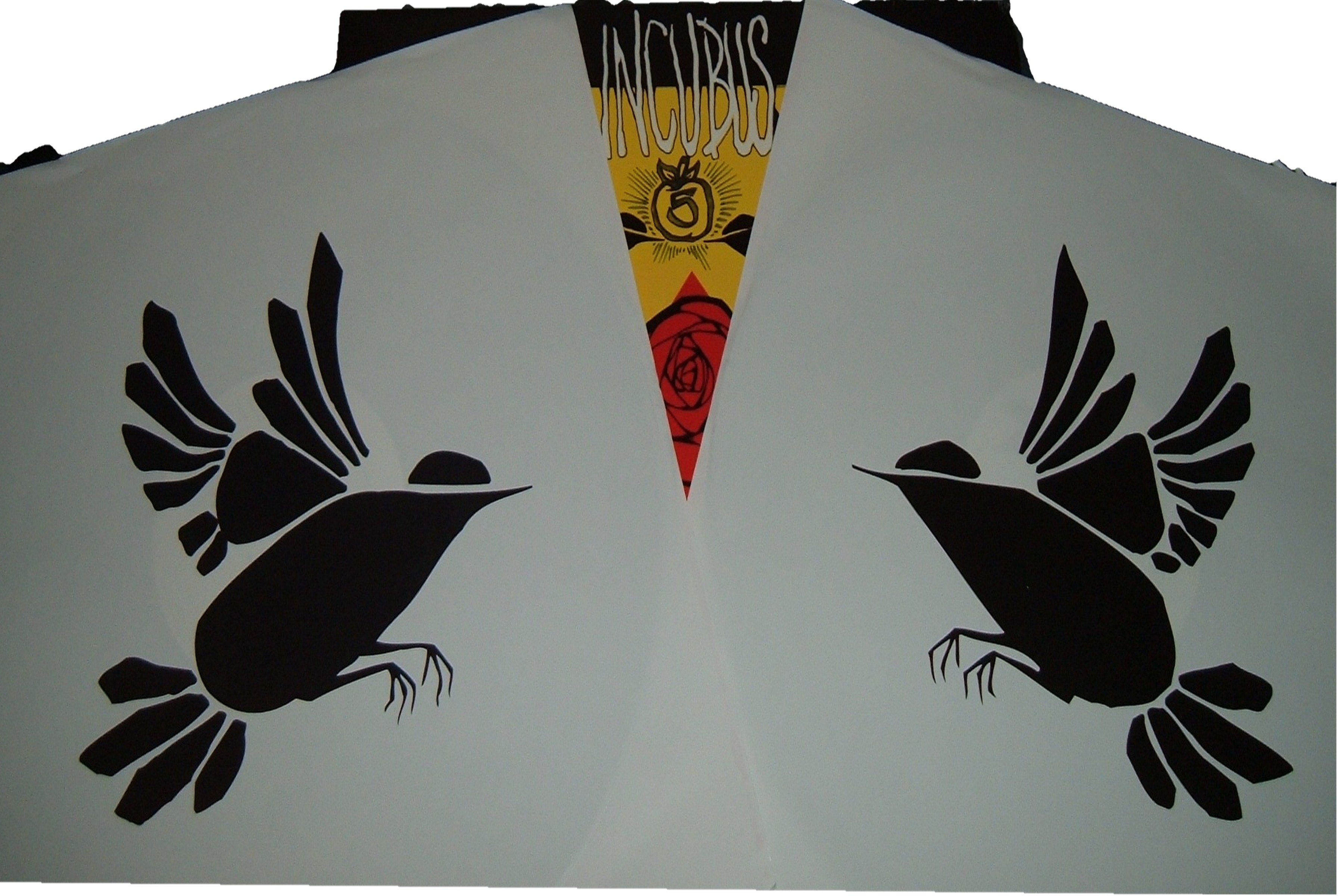 Picture for song 'Crow (Incubus Scratch Mix)' by artist 'DJ Pusha'