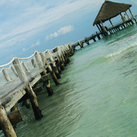 Picture for song 'Lost In Paradise' by artist 'DJ Regression'
