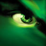 Picture for song 'untilted riddim' by artist 'Dj Screwz'