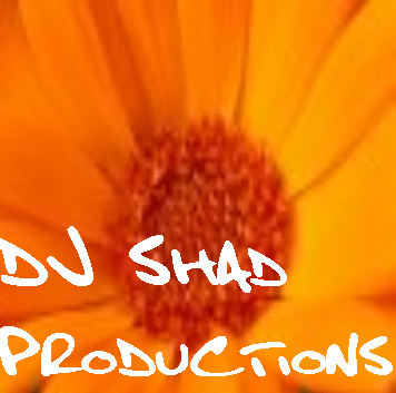 Picture for song 'For Michelle... (Pt. 1)' by artist 'DJSHAD Productions'