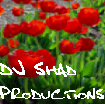 Picture for song 'For Michelle... (Pt. 2)' by artist 'DJSHAD Productions'