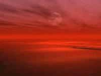 Picture for song 'Confessions(Sky Remix)' by artist 'Dj Si'