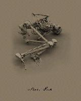 Picture for song 'Never Quit' by artist 'Dj Si'