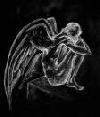Picture for song '~~No Angels~~' by artist 'Dj Simmy (UK)'