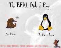 Picture for song 'Birds of Prey (w/ vocals by Agile)' by artist 'Dj SIN'