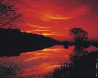Picture for song 'The Legacy (Dj Skron Remix)' by artist 'Dj Skron'