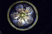 Picture for song 'Floopy' by artist 'DJ Syphon'