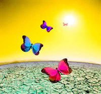 Picture for song 'Blazed Harmony' by artist 'DJ TAL'