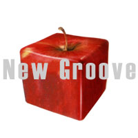 Picture for song 'New Groove' by artist 'DJ TAL'