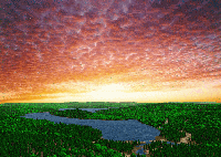 Picture for song 'Heaven's gate' by artist 'DJ Teaman'
