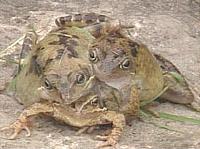 Picture for song 'Changes in Vegas' by artist 'DJ Thought Criminal'