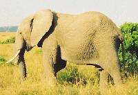 Picture for song 'Let's Get Back (Unus Mixture)' by artist 'djThrift'