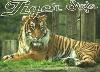 Picture for song 'Tiger Style' by artist 'dj Tombo'