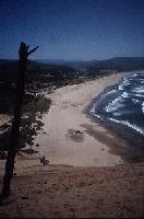 Picture for song 'Pacific Winds ( Remastered )' by artist 'DJ Vorta'