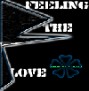 Picture for song 'Feeling the Love' by artist 'DJYanka'
