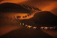 Picture for song 'Lunar Jungle' by artist 'Dj Zephy'