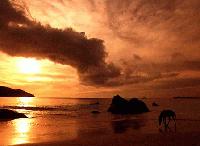 Picture for song 'I Can Never Be' by artist 'DMUNEE'