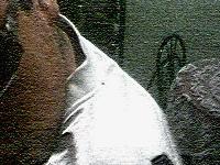 Picture for song 'konspiracion MortaL' by artist 'Dnls Record'S'
