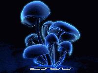 Picture for song 'Tlocq Ream' by artist 'DNYSZ'