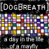 Picture for song 'A Day In The Life Of A Mayfly' by artist 'Dog Breath'