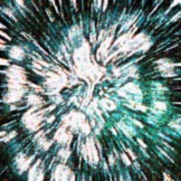 Picture for song 'Beautiful' by artist 'Dog Panic'