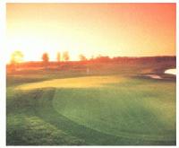 Picture for song 'Get Forever' by artist 'Dog Panic'