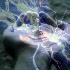 Picture for song 'Knowledge (redux)' by artist 'Doktor Jadge'