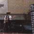 Picture for song 'Paper Man (Live)' by artist 'Domdaniels'