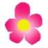 Picture for song 'Sakura Sakura' by artist 'Domdaniels'