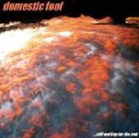 Picture for song 'dTV' by artist 'Domestic Fool'
