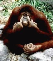 Picture for song 'Pride' by artist 'Dominance(UK)'