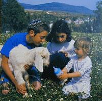 Picture for song 'White Donkey (Ki Va Moed)' by artist 'White Shabbos'