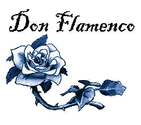 Picture for song 'A Lover's Goodbye' by artist 'don flamenco'