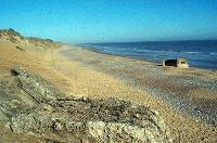 Picture for song 'The Dreams Teem' by artist 'Dont Panic'