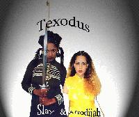 Picture for song 'Felonious Conduct' by artist 'Doomsday in Houston Texas'