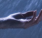 Picture for song 'Adieu' by artist 'Doriath'