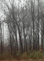 Picture for song 'Breach' by artist 'Dos Diablos'