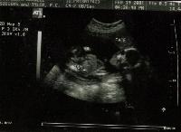 Picture for song 'Death Blues' by artist 'Dos Diablos'