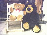 Picture for song 'Teddy bear' by artist 'Doug York'