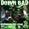 Picture for song 'In dis bi*** part 2' by artist 'Down Bad'