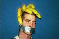 Picture for song 'Spank Me Jesus' by artist 'Down By The Sweetgum Tree'