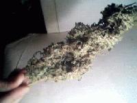 Picture for song 'The weed song (smoke session)' by artist 'downriverkillers DRK'