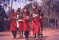 Picture for song 'jungle' by artist 'Downtown Massive Sound'