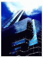 Picture for song 'Beetle' by artist 'D ProductionZ'