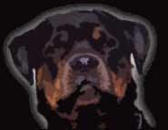 Picture for song 'H2O' by artist 'D ProductionZ'