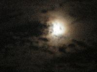 Picture for song 'Midnight Symphony' by artist 'D ProductionZ'