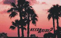 Picture for song 'Ridaz' by artist 'D ProductionZ'