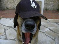 Picture for song 'Tha Streetz' by artist 'D ProductionZ'